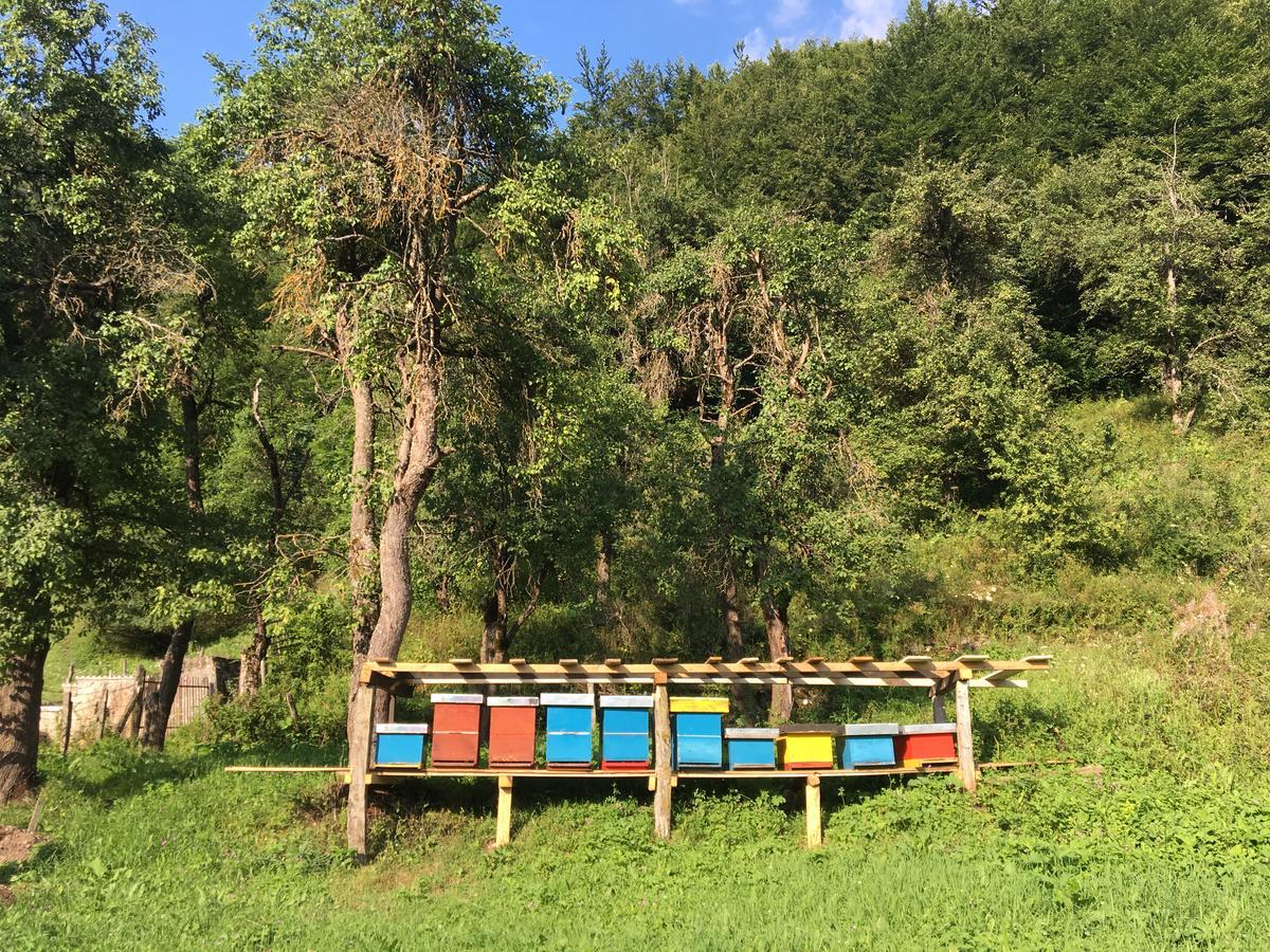 Guest House Ulaj Vuthaj Dış mekan fotoğraf